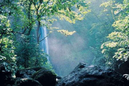 Cascada en el rio Sarapiqui