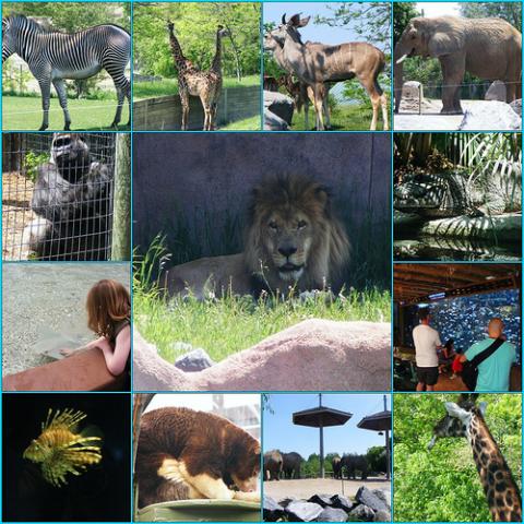 634Zoológico de Toronto, uno de los más grandes del mundo