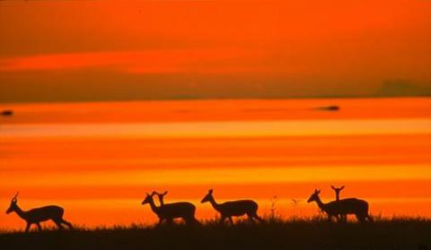 sudafrica