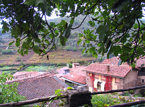 Sierra de gata