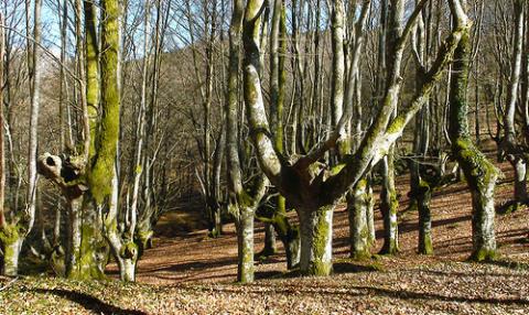 2814Aprovechar una visita a las Áreas Naturales