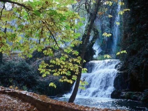 2901Concurso de fotos del Monasterio de Piedra, sobre el otoño