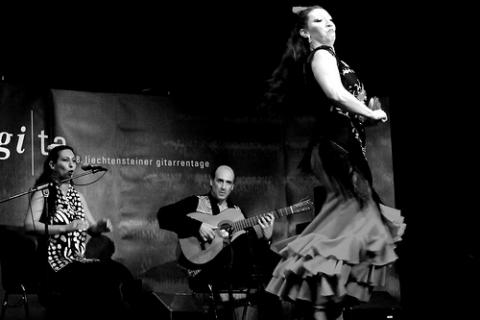 3692El flamenco y las diferentes actividades
