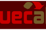 5900Truecalia, intercambio de billetes de tren