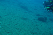 6032SeaBird, un submarino sin motor