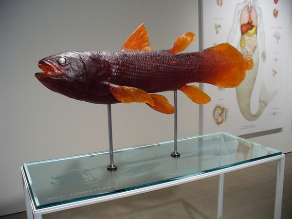 Museos muy excéntricos Lugares extraños para visitar