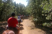 9564Los viajeros rurales en Navidad quieren descansar