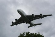 10031Consigue dos plazas gratis en un A380