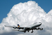 10932Empresas aéreas y el check in online