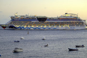 10958Posible regulación en cruceros
